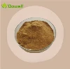 Detholiad Cymhleth Psoriasis Llysieuol|Powdwr Synergaidd Aml-Berlysiau ar gyfer Cydbwysedd y Croen a Lleddfu Llid